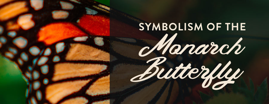 SYMBOLISM OF THE MONARCH BUTTERFLY IN MEXICO