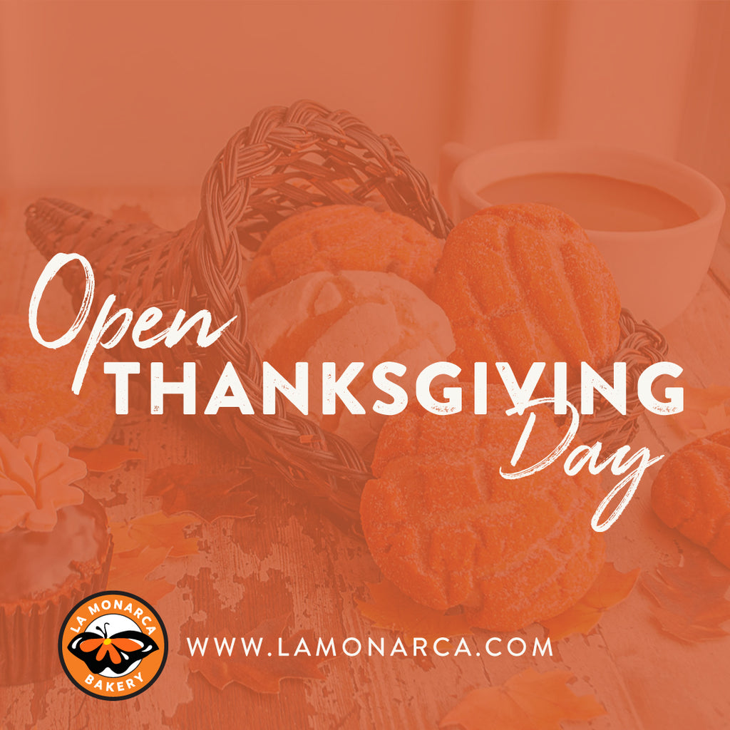 We are OPEN! Thanksgiving & Black Friday Holiday Hours