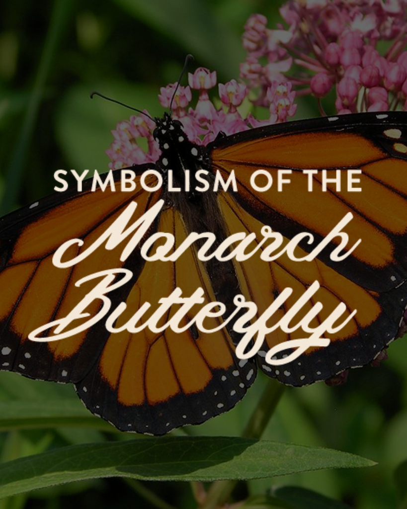 SYMBOLISM OF THE MONARCH BUTTERFLY IN MEXICO
